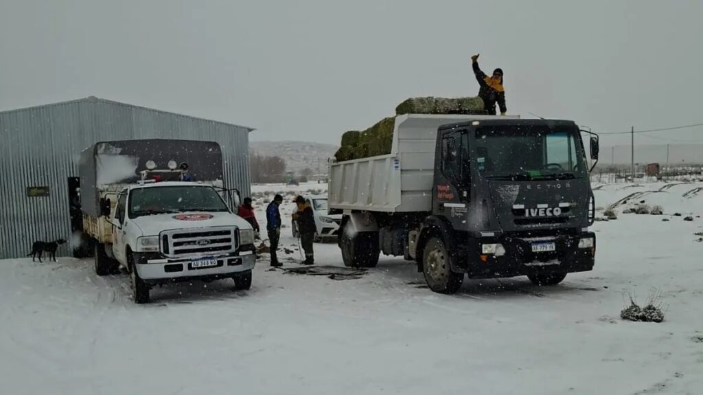 Protección Civil trasladó insumos para productores de Laguna Blanca