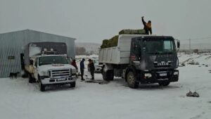 Lee más sobre el artículo Protección Civil trasladó insumos para productores de Laguna Blanca