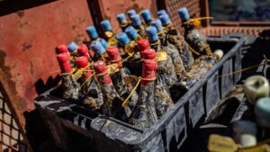 Lee más sobre el artículo Cavas submarinas: Río Negro convoca a participar de la segunda etapa del programa