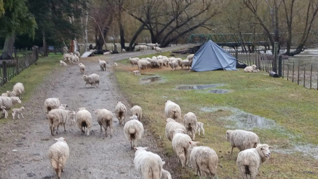 En este momento estás viendo Provincia asiste a los productores afectados en El Manso