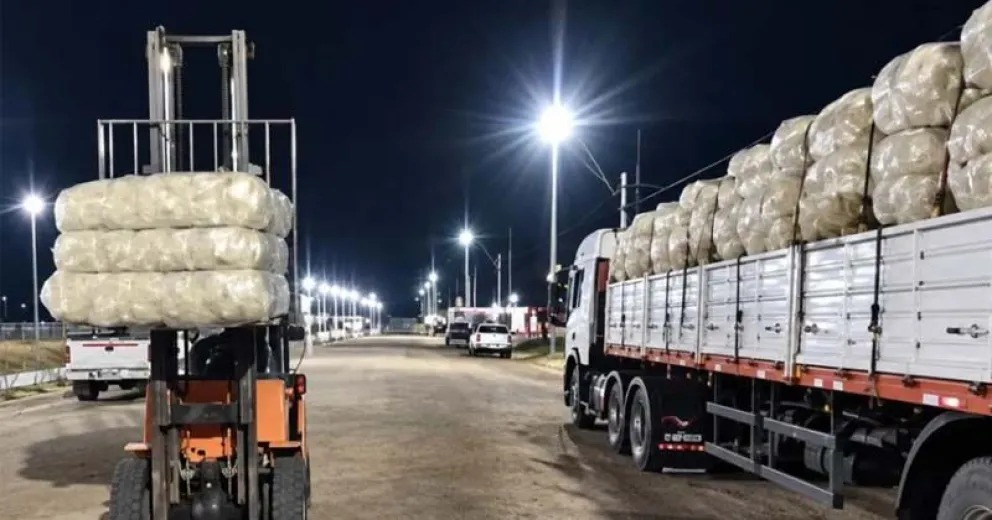 En este momento estás viendo Río Negro exportó por primera vez lana sucia ovina a Uruguay