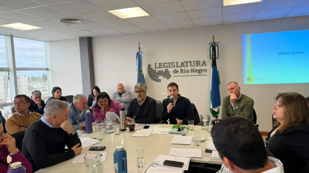 Ríos destacó el respaldo a la compensación para municipios de Río Negro