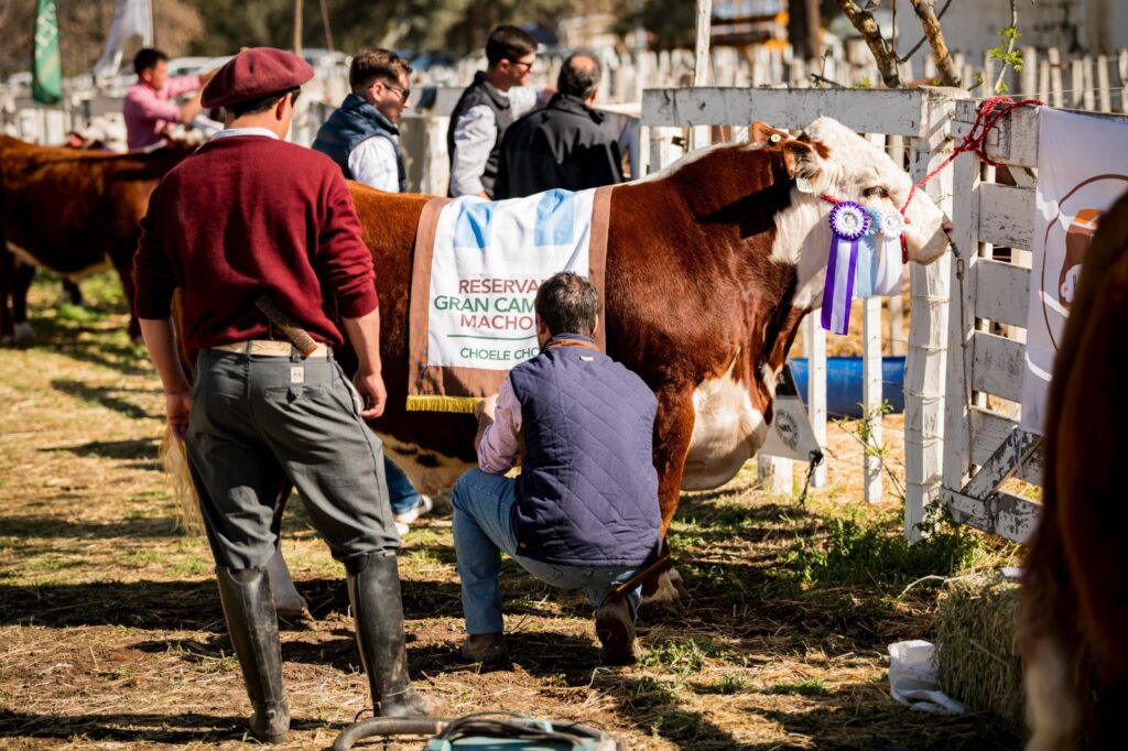 46ª Expo Rural de Choele Choel: Juan Segatori habló sobre el presente productivo del Valle Medio
