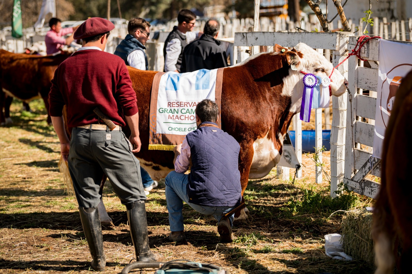 En este momento estás viendo La 15ª Expo Rural del Alto Valle se prepara para una nueva edición en General Roca
