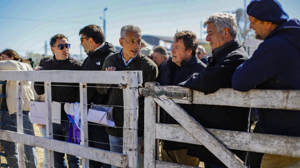 Río Negro impulsa la producción ganadera y agrícola desde Viedma