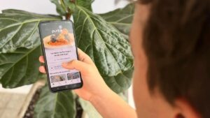 Lee más sobre el artículo Punto Río Negro conecta producción, gastronomía y comercio